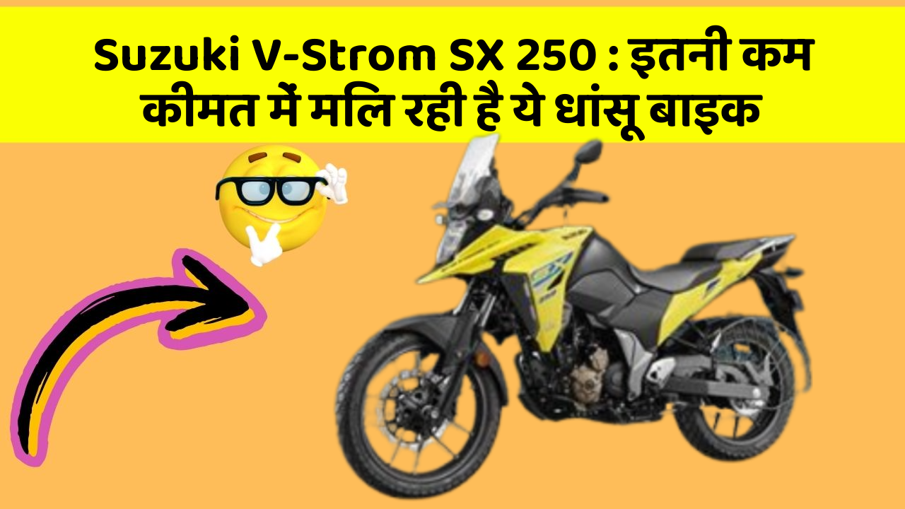 Suzuki V-Strom SX 250: इतनी कम कीमत में मिल रही है ये धांसू बाइक